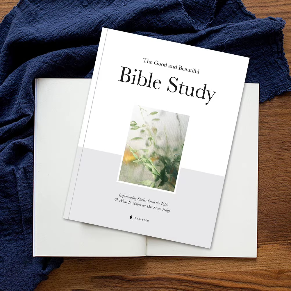 A Book of the Good and Beautiful Bible Study What It Means for Our Lives Today Exploring Stories from the Bible Bible Book